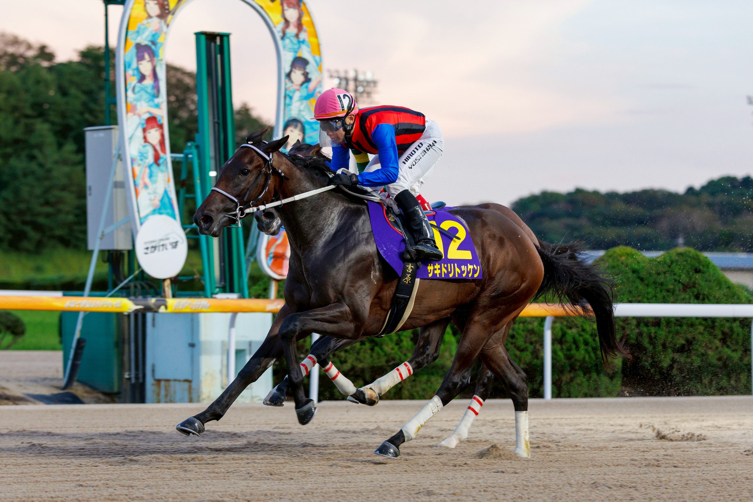 競馬 - スポーツナビ