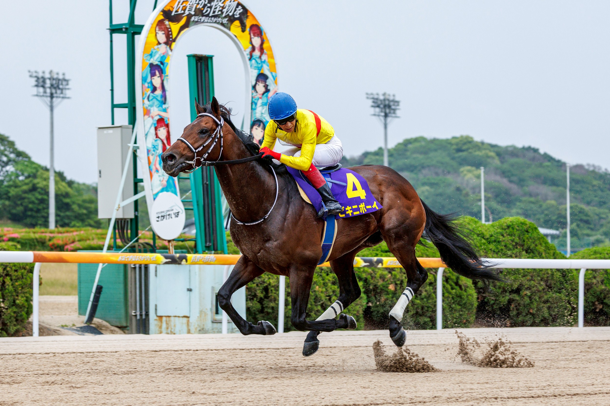 【佐賀競馬】第8回 佐賀スプリングカップ（2025.5.18）