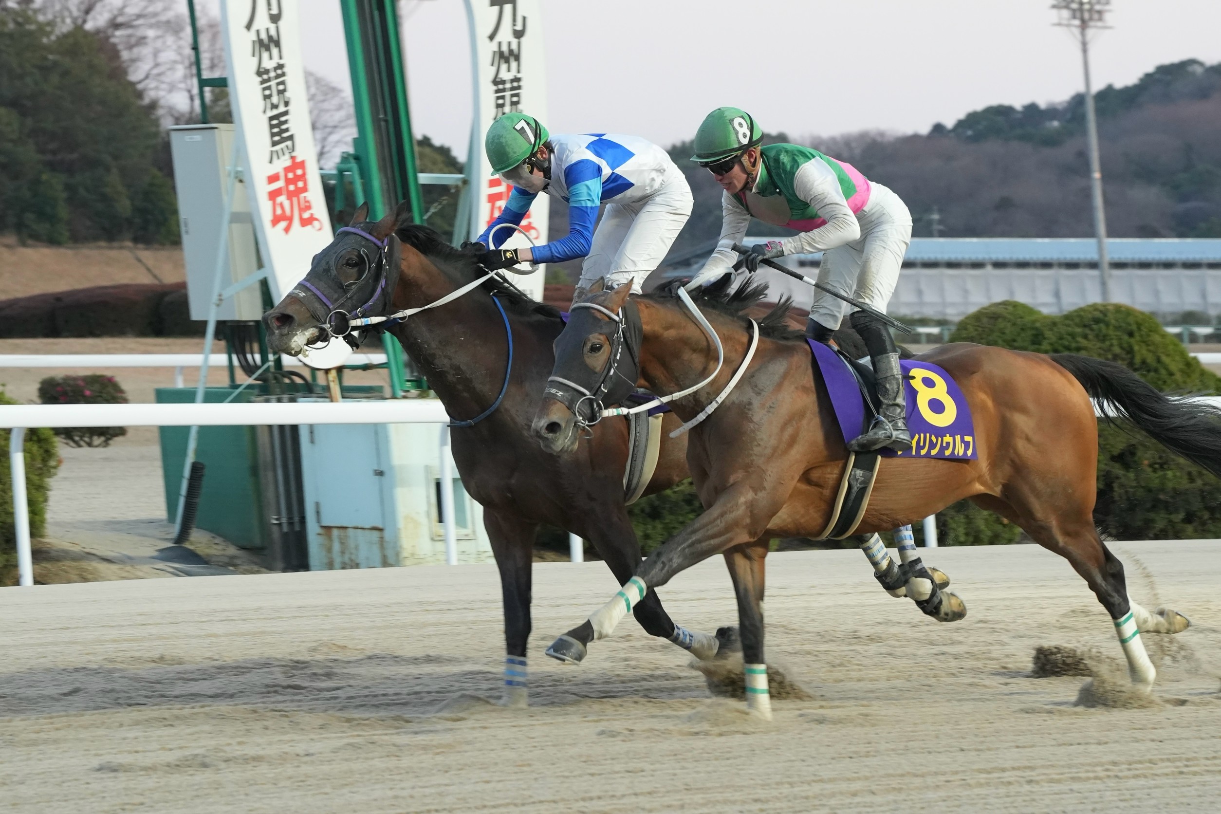 【佐賀競馬】第4回 九州クラウン（2025.3.9）