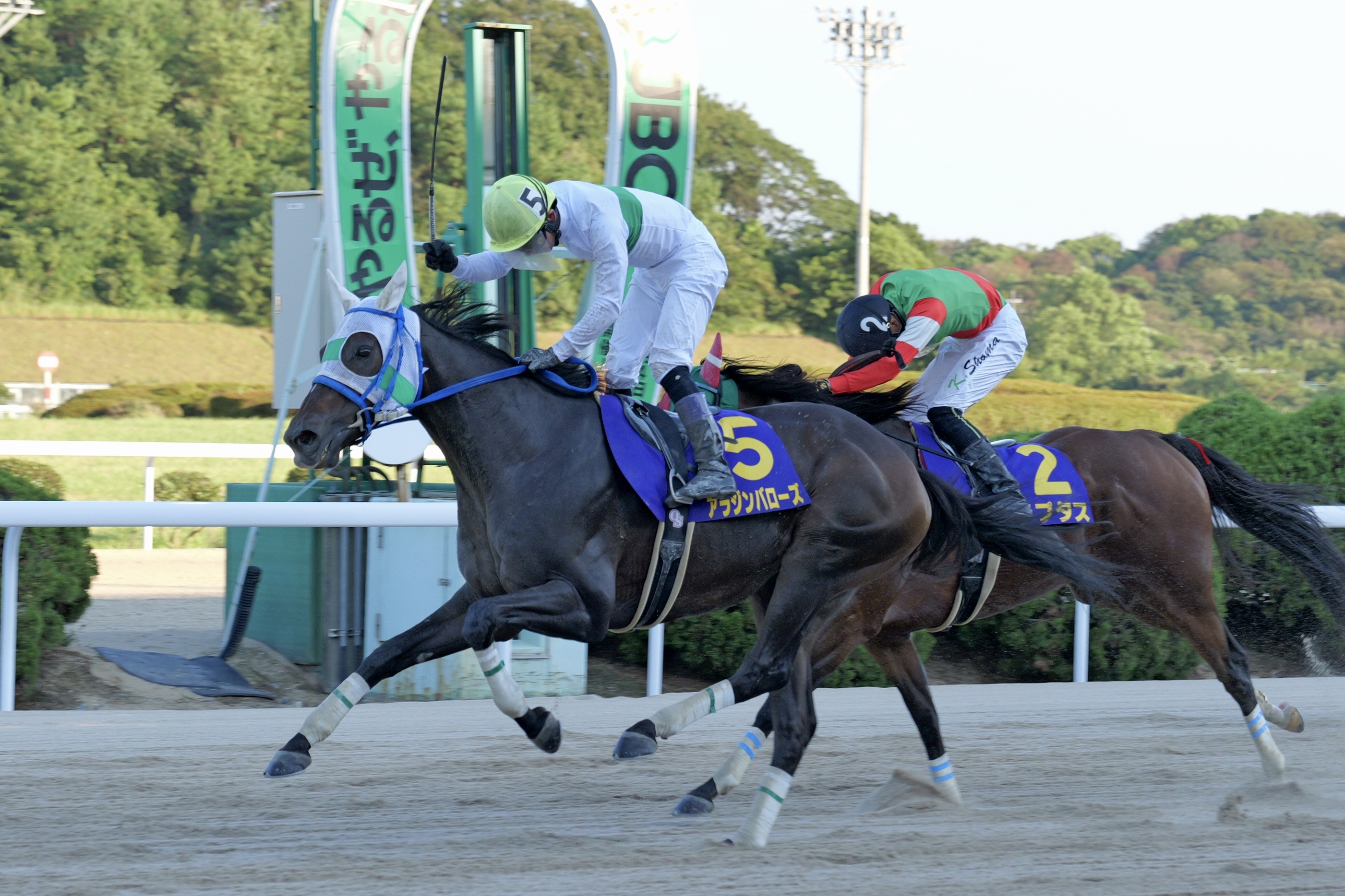 【佐賀競馬】第24回サマーチャンピオン(JpnⅢ)（2024.9.1）