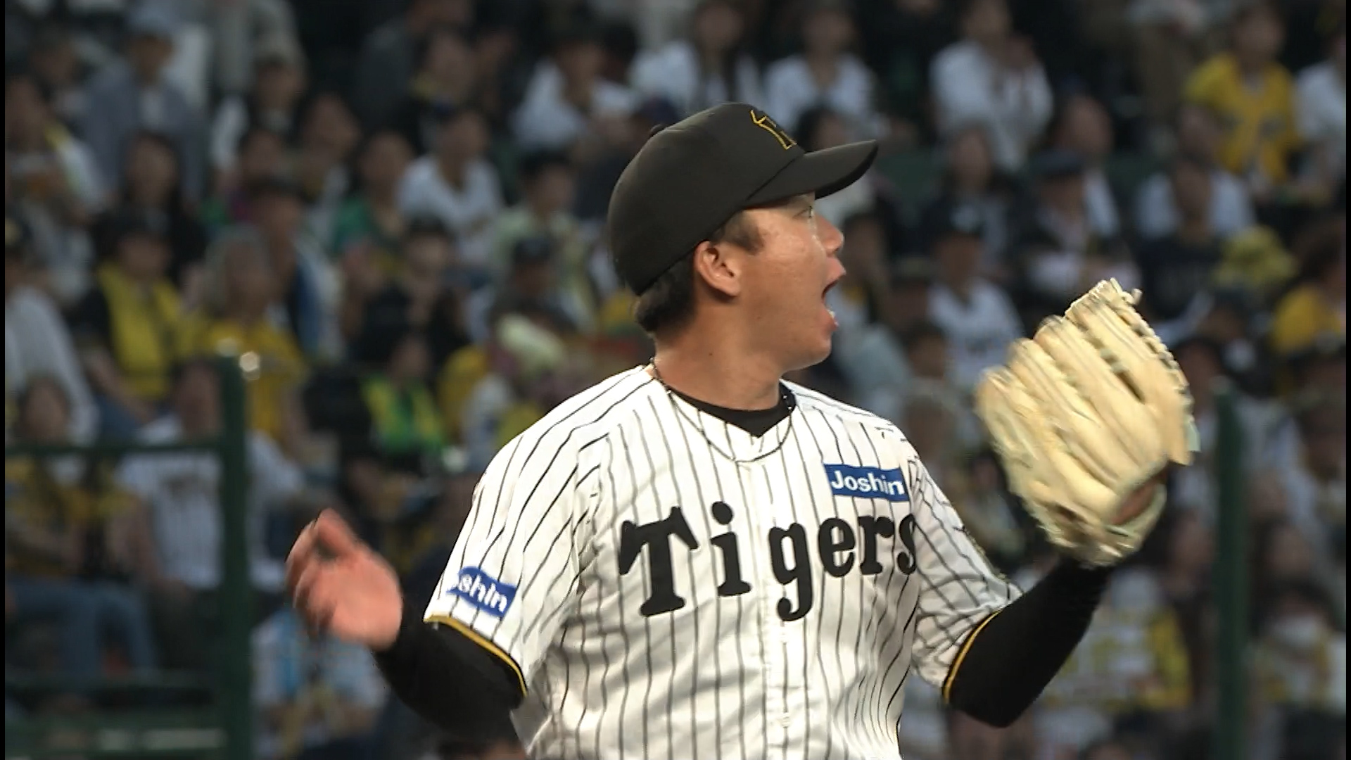 2025年6月6日 阪神タイガースvs.オリックス・バファローズ 試合