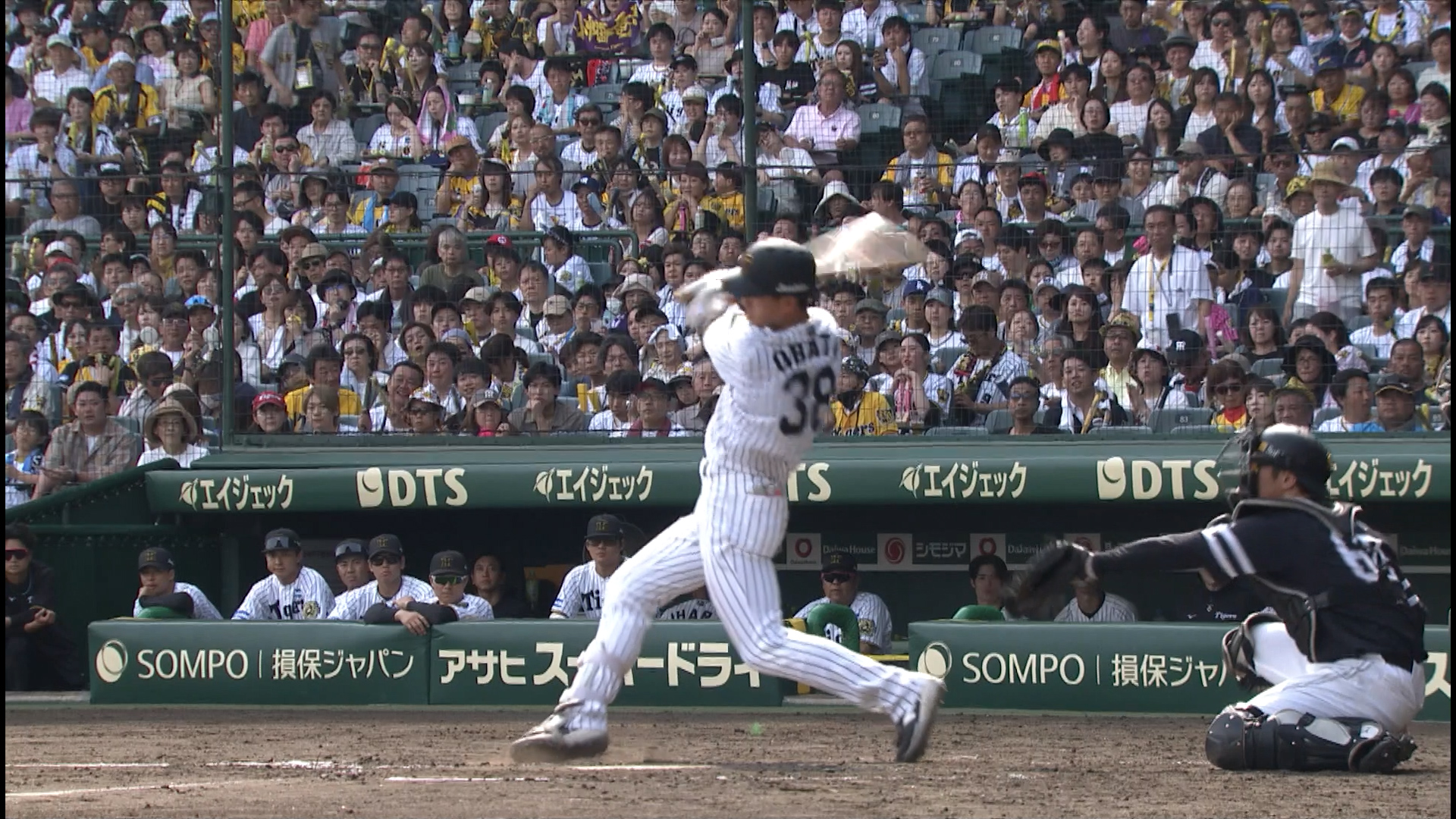 【5回裏】小幡 今日も打った!! 9試合連続ヒット!! 2025/06/22 T-H
