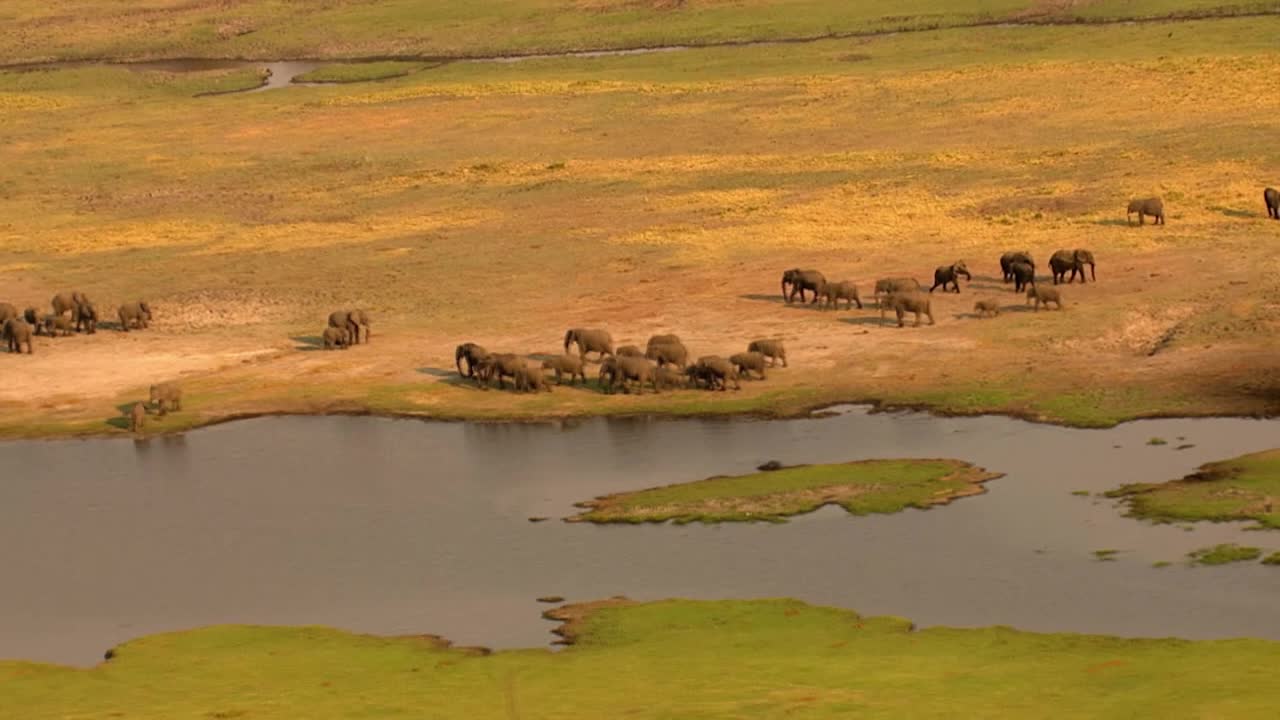 巨大な地上動物の直接対決 ゾウvsサイ ナショジオ ナショナル ジオグラフィック Yahoo Japan