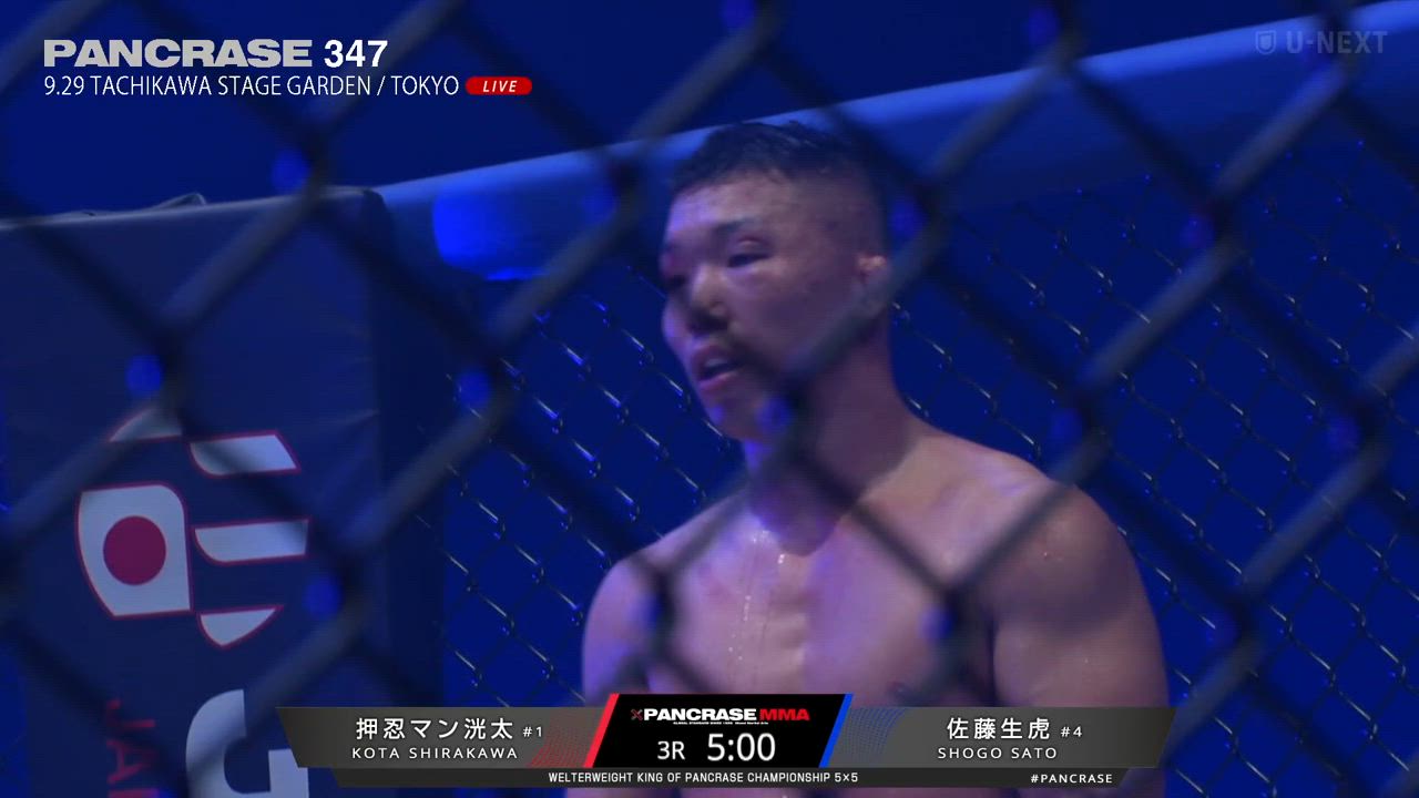 【MMA】ウェルター級王座決定戦で、佐藤生虎が押忍マン洸太を3Rパウンドアウトで王座戴冠！｜PANCRASE347