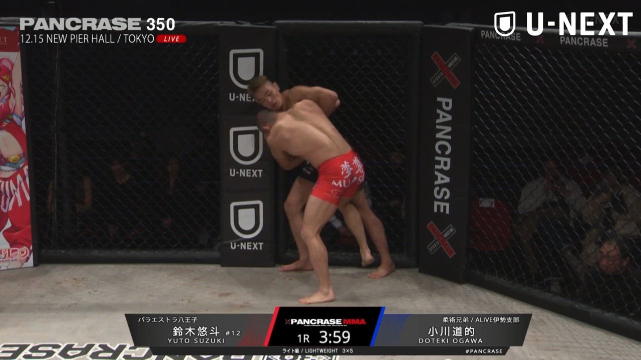 【MMA】無敗の19歳、鈴木悠斗が豪快パウンドTKO勝利！｜PANCRASE350