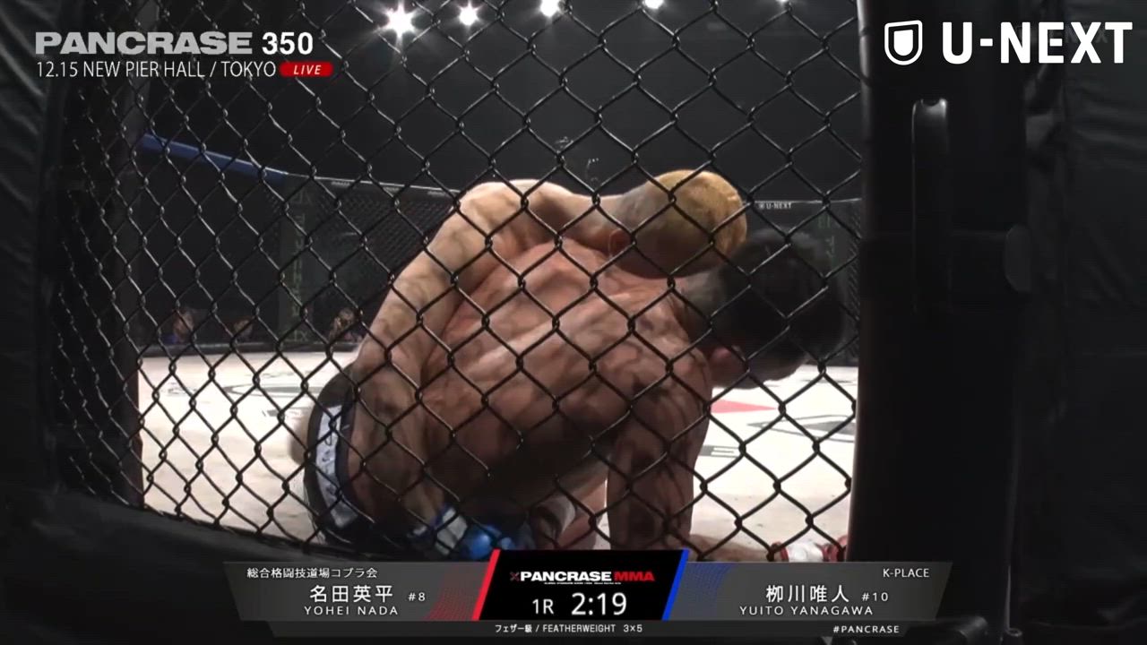 【MMA】栁川唯人の強烈なヒジ！パウンド猛攻にたまらずレフェリーストップ！｜PANCRASE350