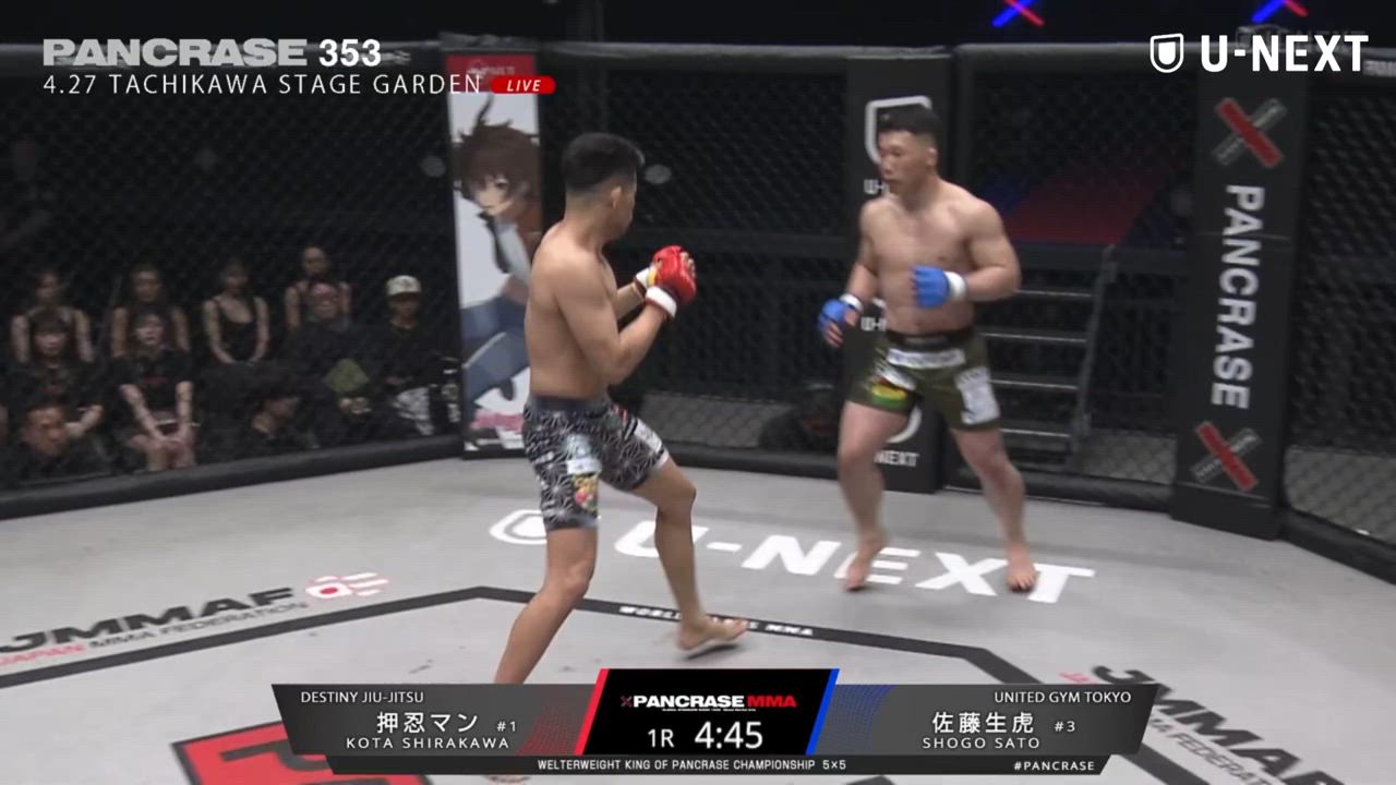 【MMA】佐藤生虎が押忍マンに左効かせダウンから怒涛のパウンドラッシュ！ウェルター級新王者に｜4.27 PANCRASE353