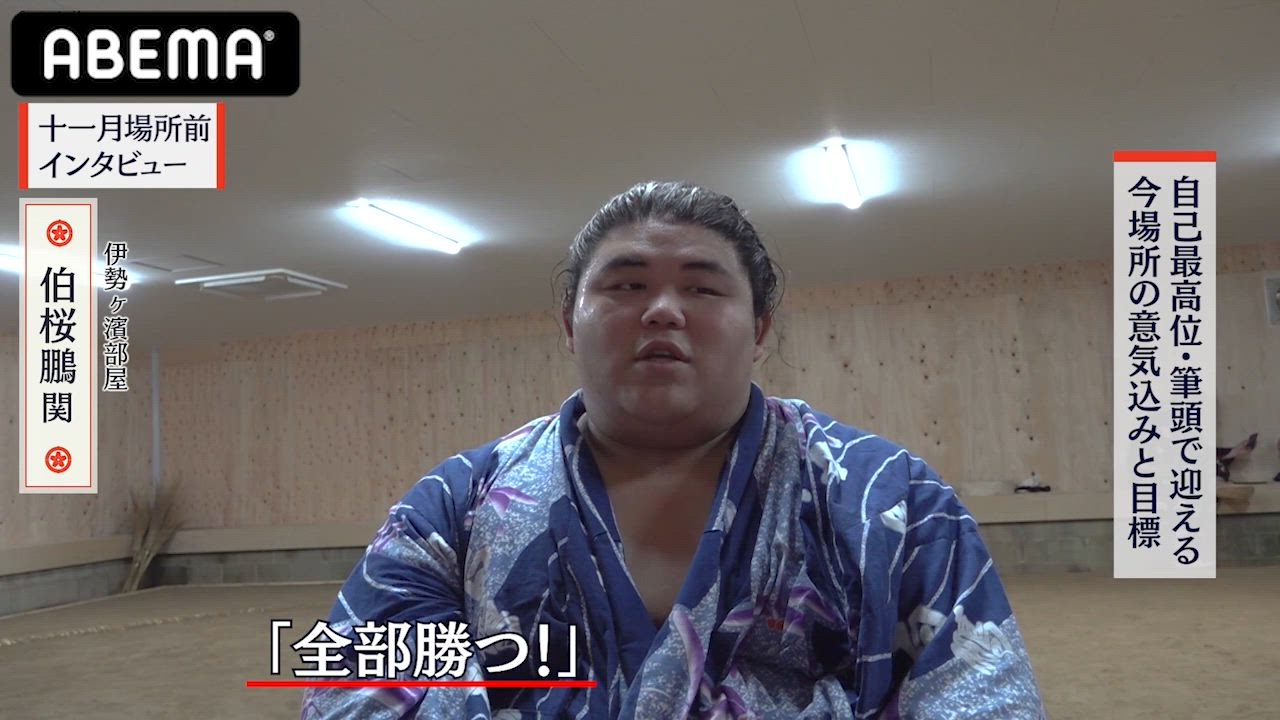 【アベマで大相撲】十一月場所前インタビュー｜伯桜鵬関の十一月場所意気込み｜アベマで全取組無料中継！