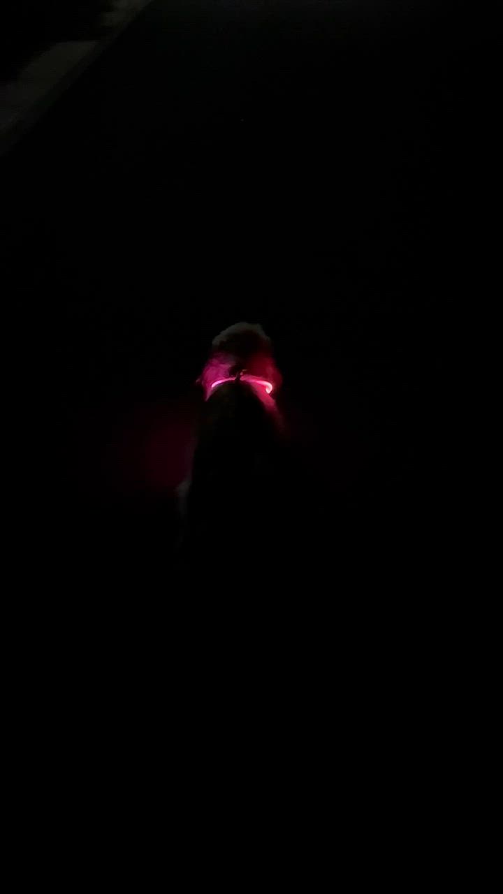 全体のレビュー動画のサムネイル | 18