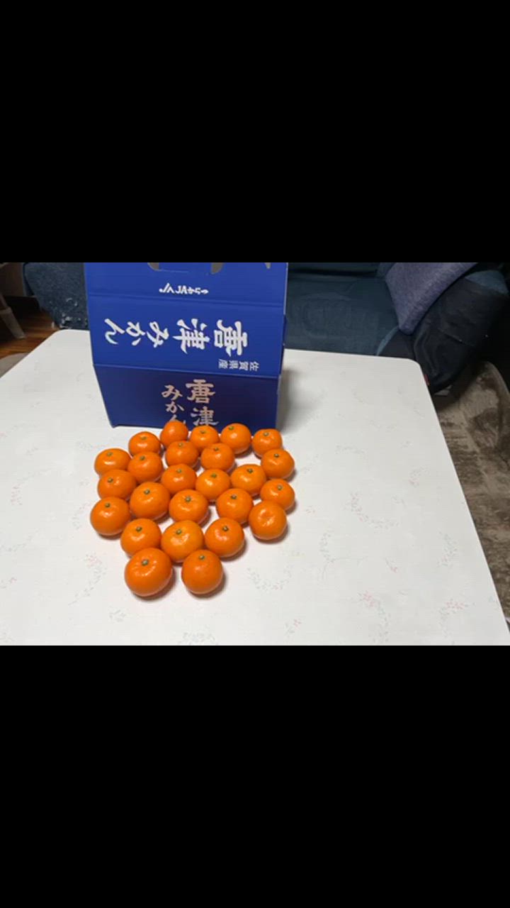 全体のレビュー動画のサムネイル | 4