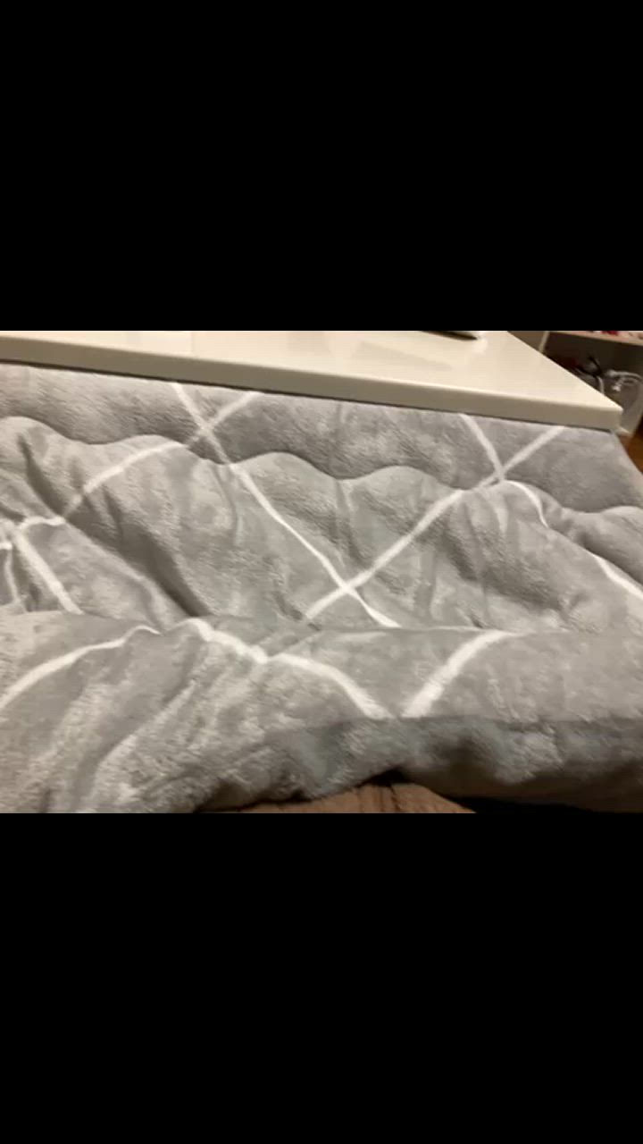 全体のレビュー動画のサムネイル | 2