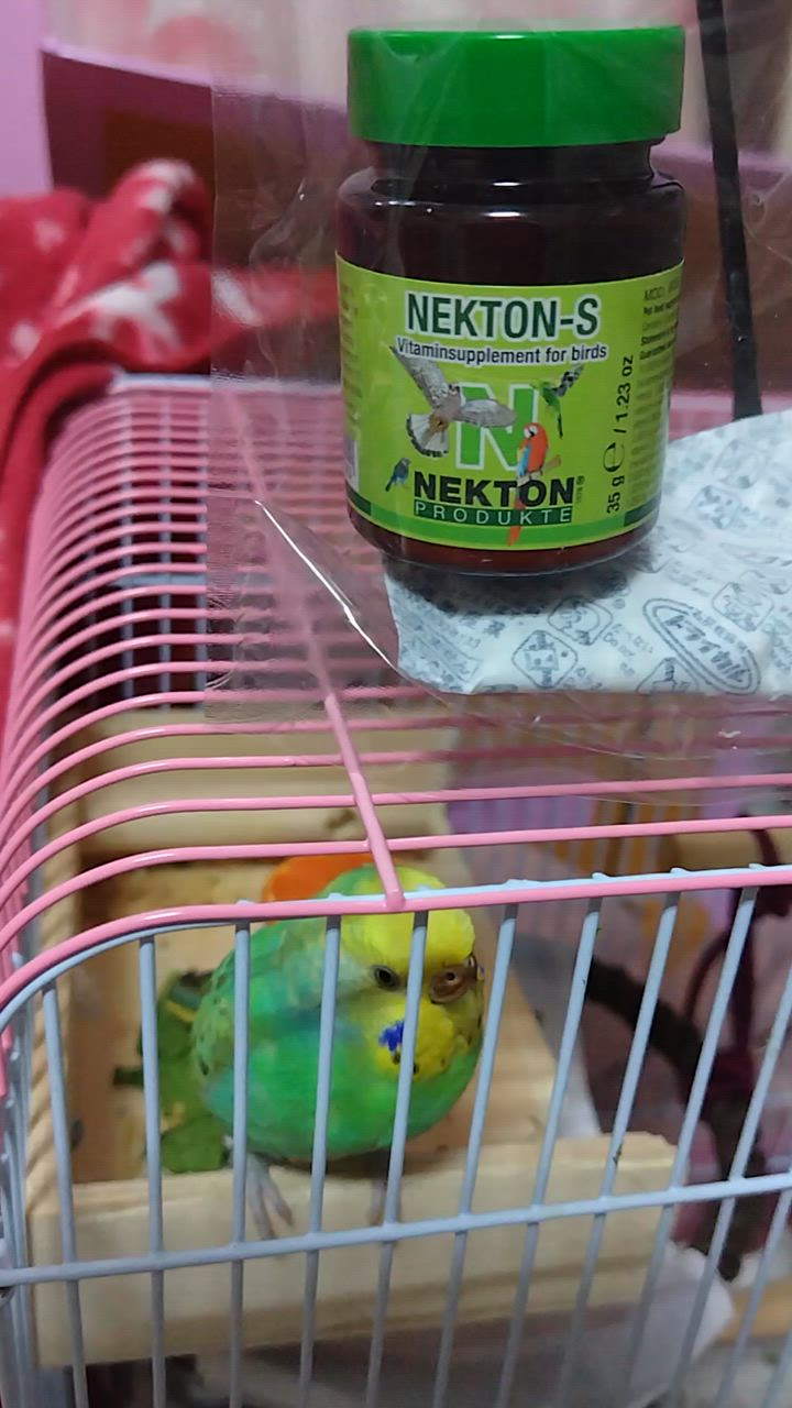 全体のレビュー動画のサムネイル | 18