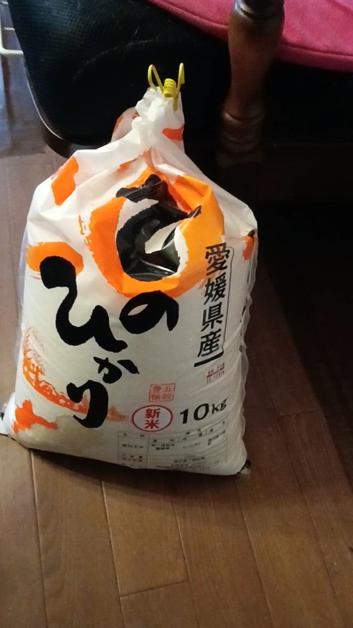 米 10kg 送料無料「 愛媛県産 ひのひかり 」ヒノヒカリ コメ お