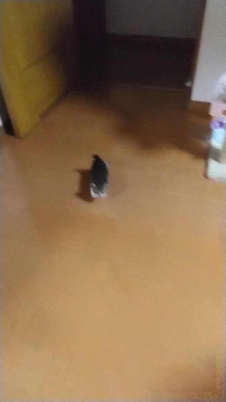 全体のレビュー動画のサムネイル | 10