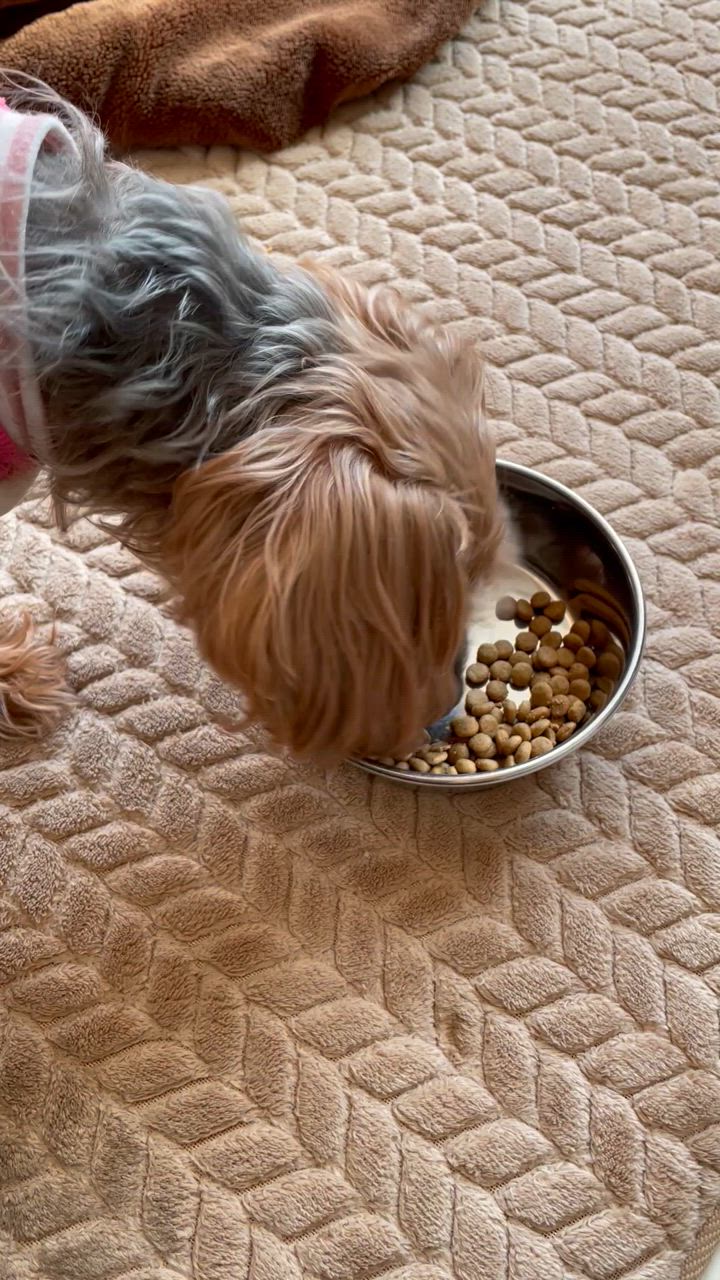 フレキサディンアドバンス　犬用　３０粒 ×3袋【送料無料】ポスト投函 あすつく】【3袋セット】【犬用】【フレキサディン アドバンス
