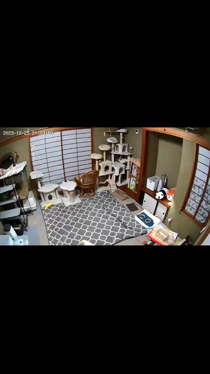 全体のレビュー動画のサムネイル | 2
