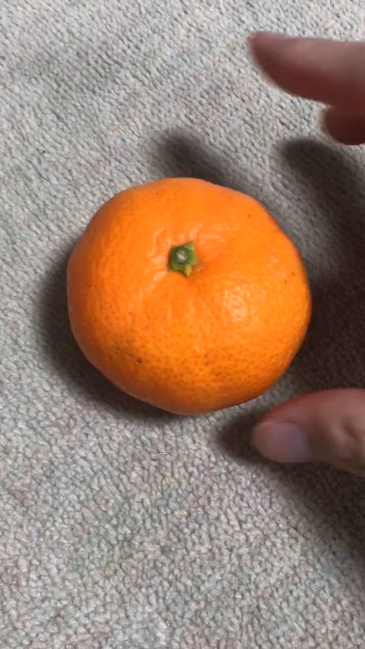 全体のレビュー動画のサムネイル | 1