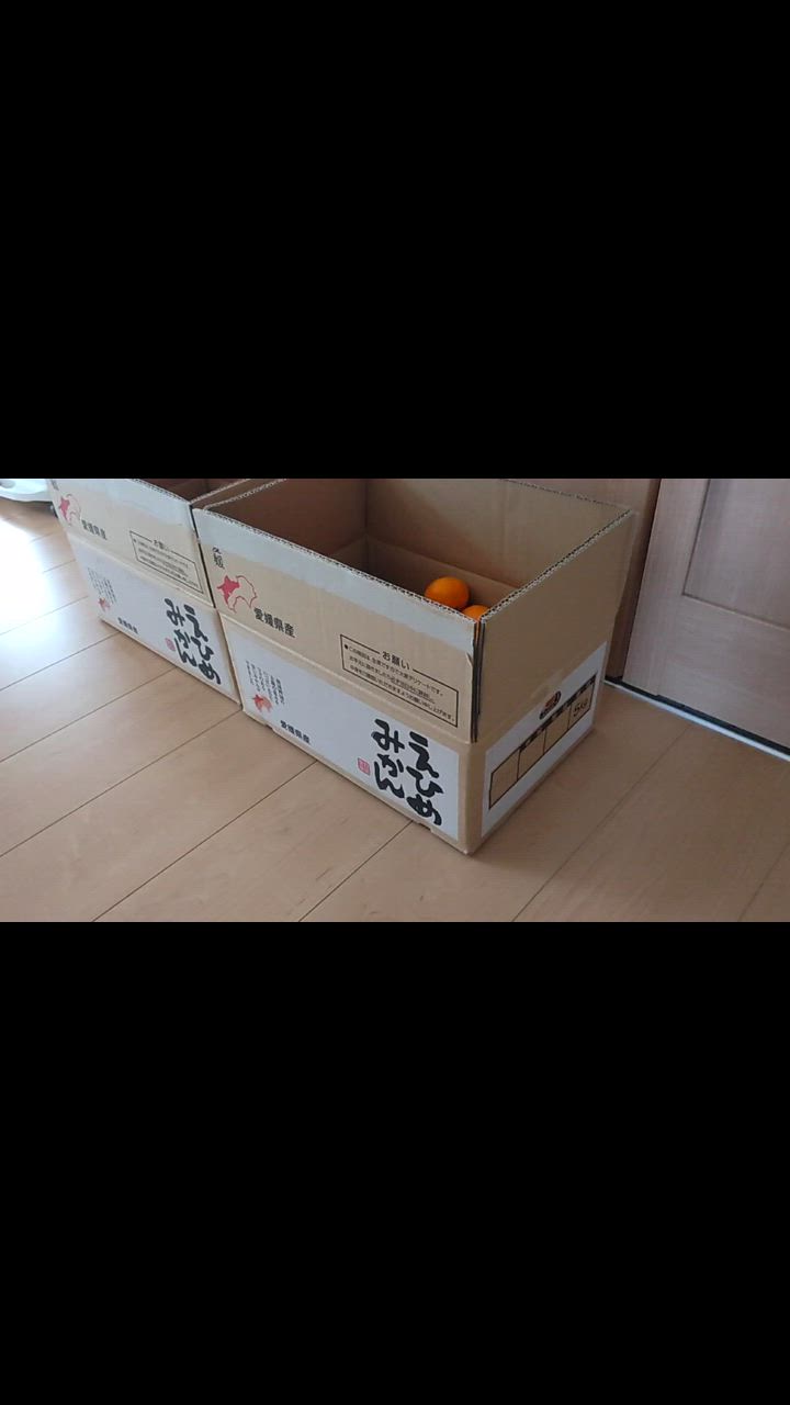 全体のレビュー動画のサムネイル | 0