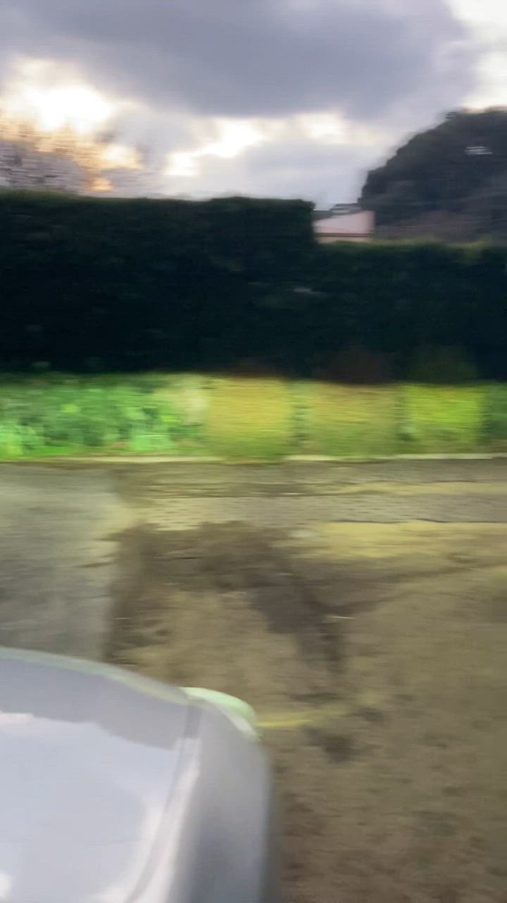 全体のレビュー動画のサムネイル | 3