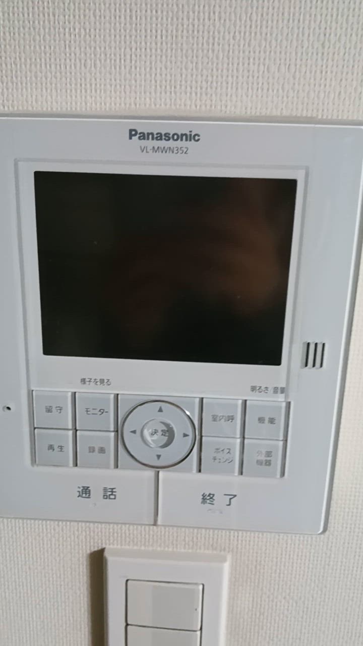 Panasonic パナソニック VS-SGZ20L カラーテレビ ドアホン