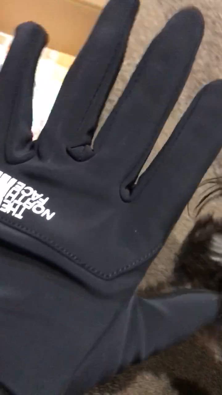 THE NORTH FACE 最大42%☆5/20限定 日本正規品 ザ・ノース