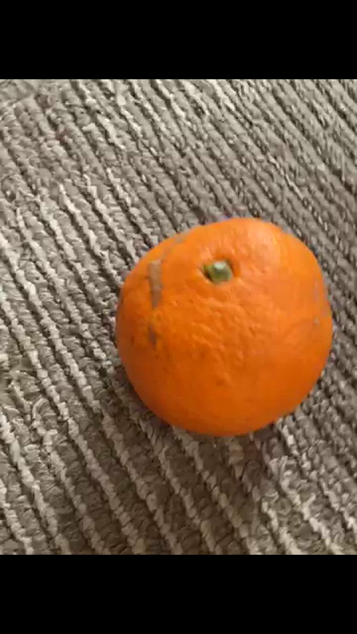 全体のレビュー動画のサムネイル | 9