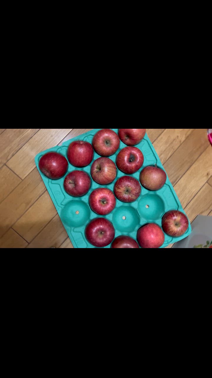 全体のレビュー動画のサムネイル | 2
