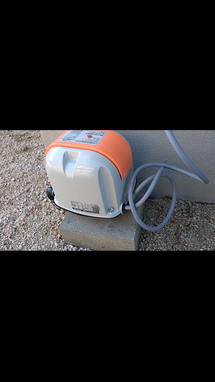 安永エアポンプAP60 エアレーションに使用 安永エアポンプAP60 エアレーションに使用 安永 AP-60 AP60 安永