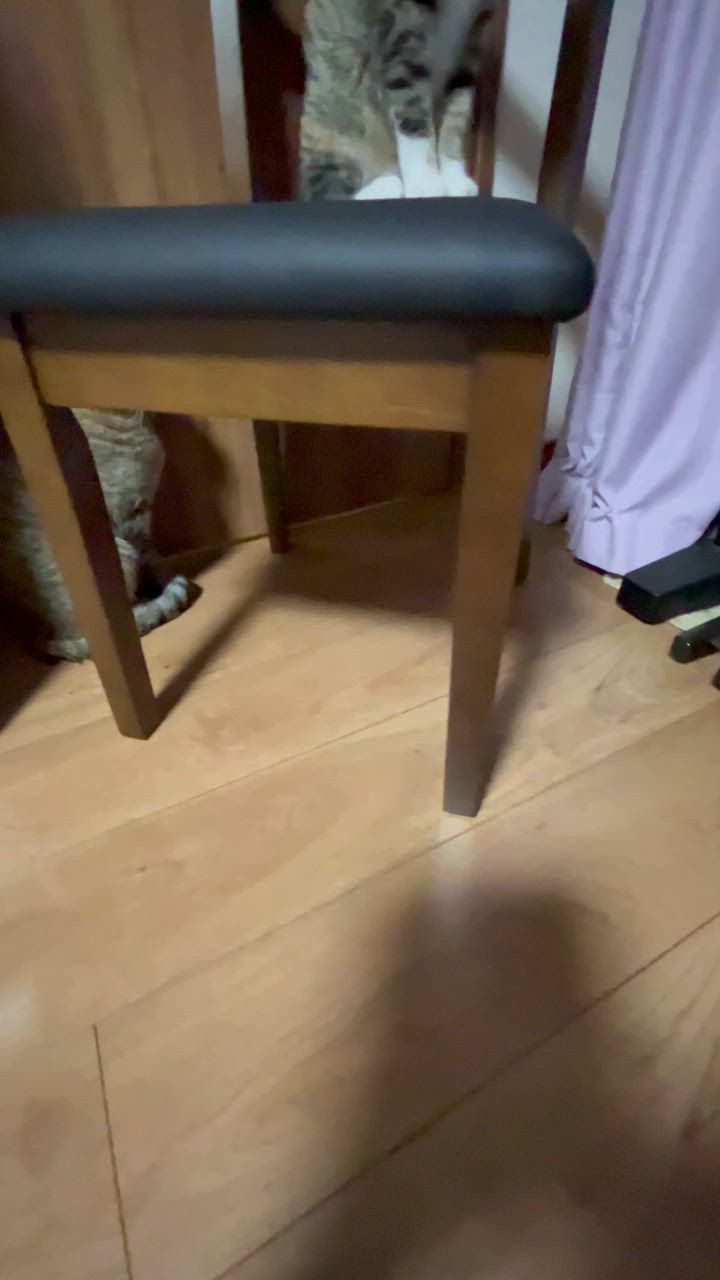 全体のレビュー動画のサムネイル | 11