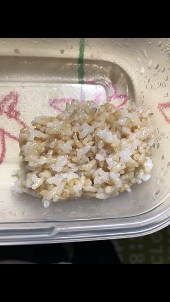 米 お米 米5kg 玄米 まっしぐら 令和6年産 青森県産 古代米お