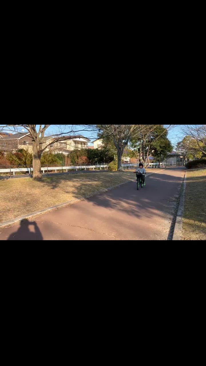 全体のレビュー動画のサムネイル | 11