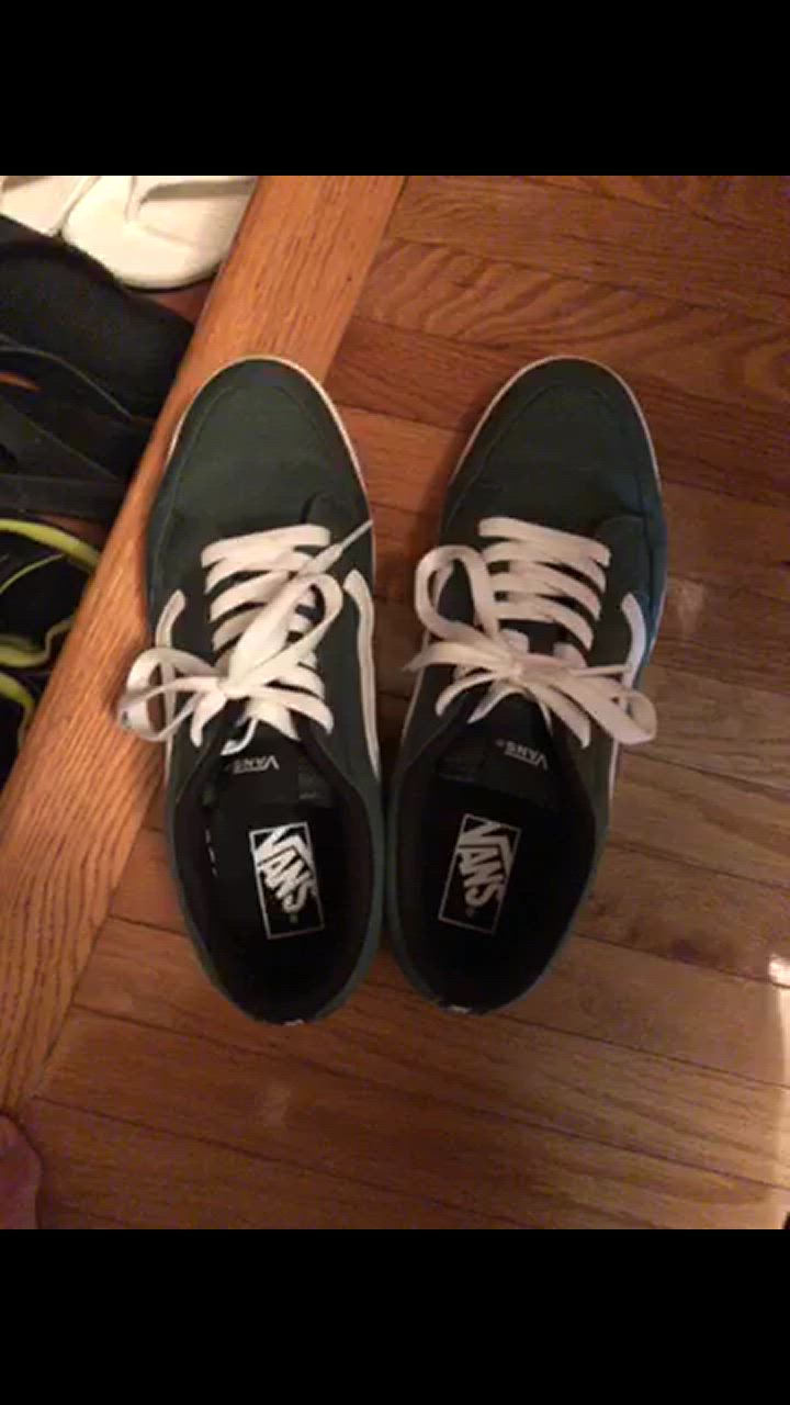 VANS ヴァンズ CANORA キャノーラ V2940 CVS GREEN/WHITE : ABC