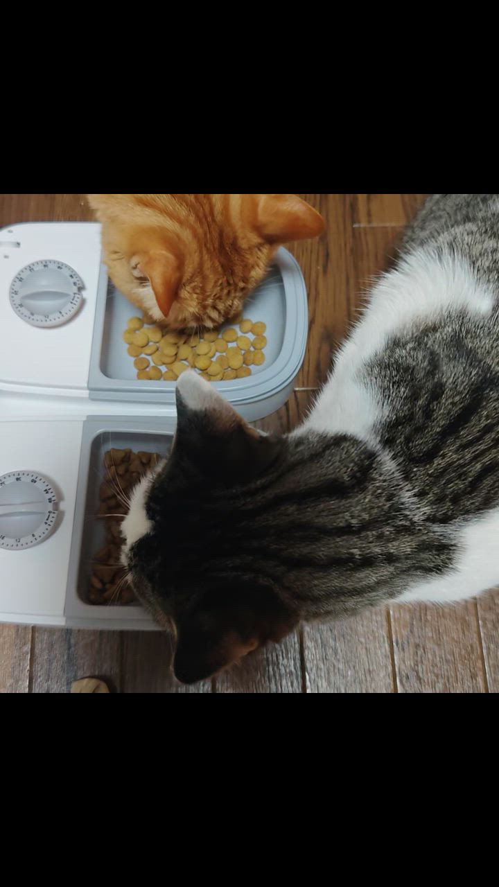 全体のレビュー動画のサムネイル | 1