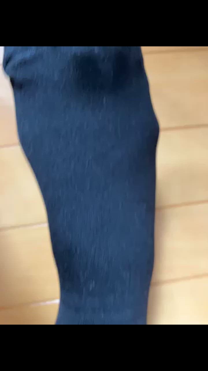 全体のレビュー動画のサムネイル | 1