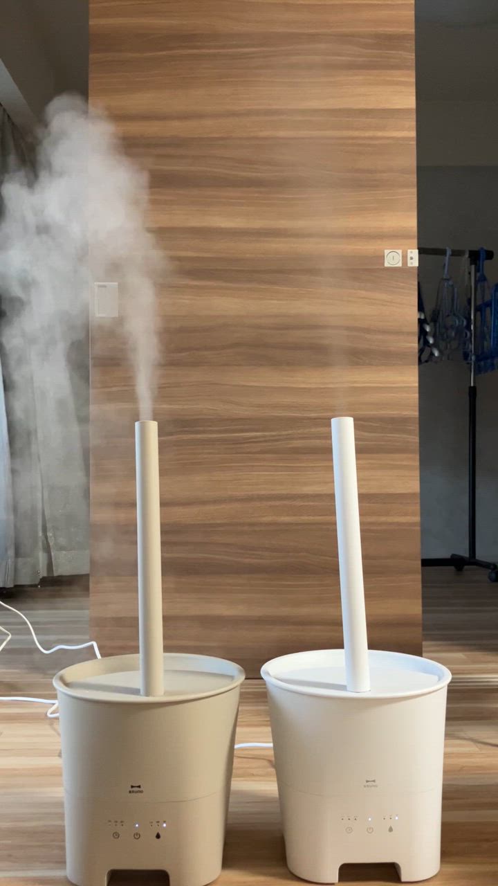 BRUNO ［ 超音波アロマ加湿器 POT MIST ］特典付 ブルーノ 超