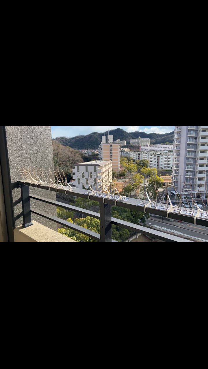 全体のレビュー動画のサムネイル | 3