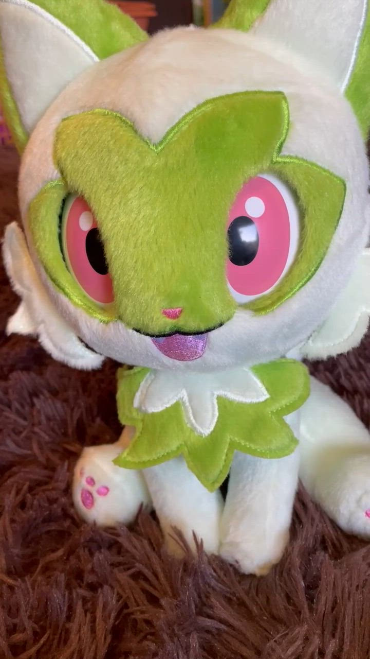 【箱付き】なでてみつめて　ぱちくりニャオハ　タカラトミー　ぬいぐるみ ポケモンぬいぐるみ なでてみつめて♪ぱちくりニャオハ