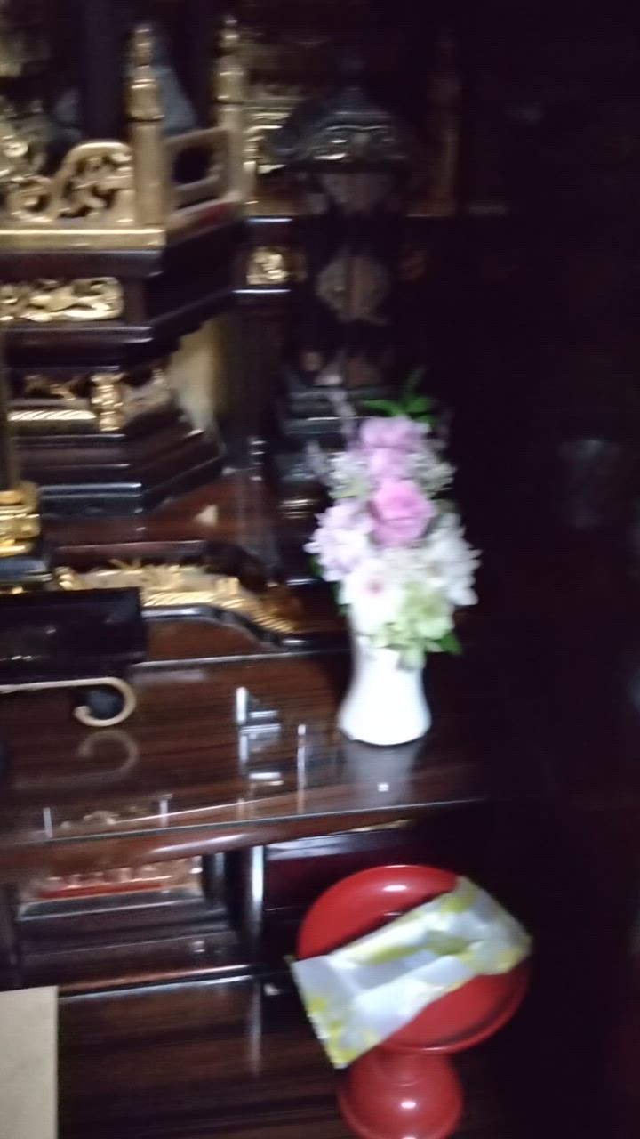 全体のレビュー動画のサムネイル | 2