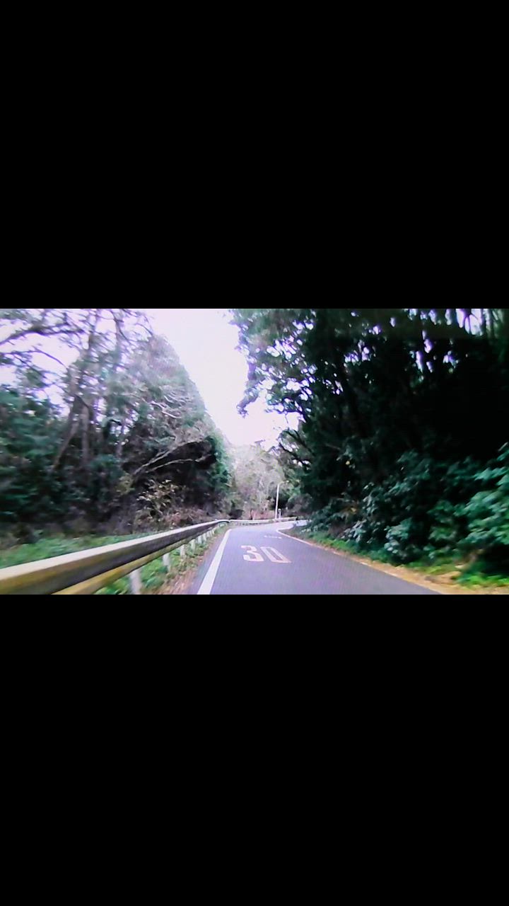 全体のレビュー動画のサムネイル | 3