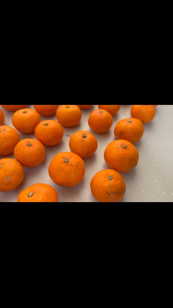 全体のレビュー動画のサムネイル | 13