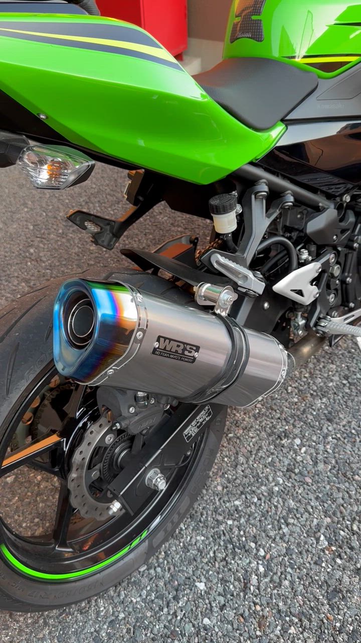 WR'S WR'S ダブルアールズ SS-OVAL スリップオンマフラー タイプ