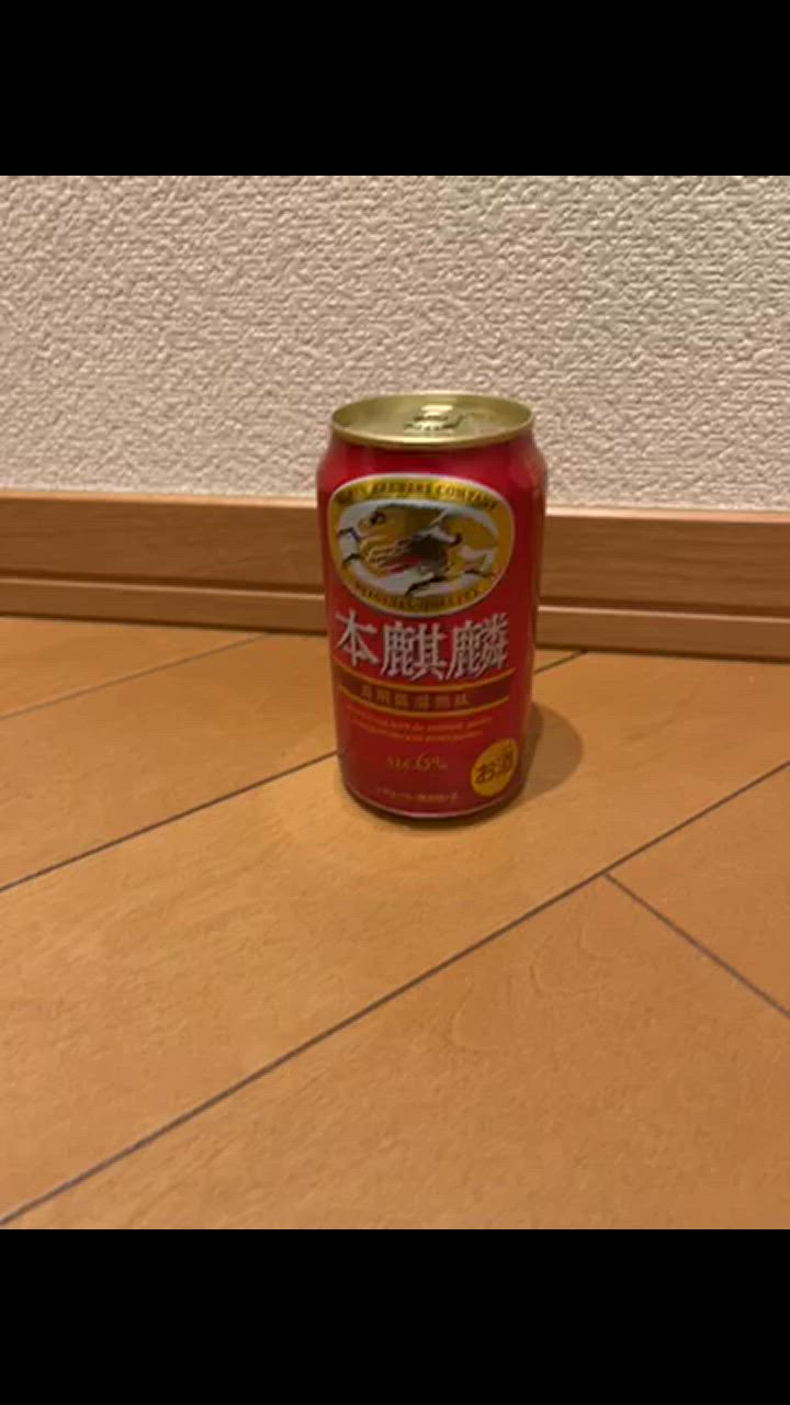 キリン 本麒麟 ビール beer 350ml 48本 発泡酒 第3のビール 新