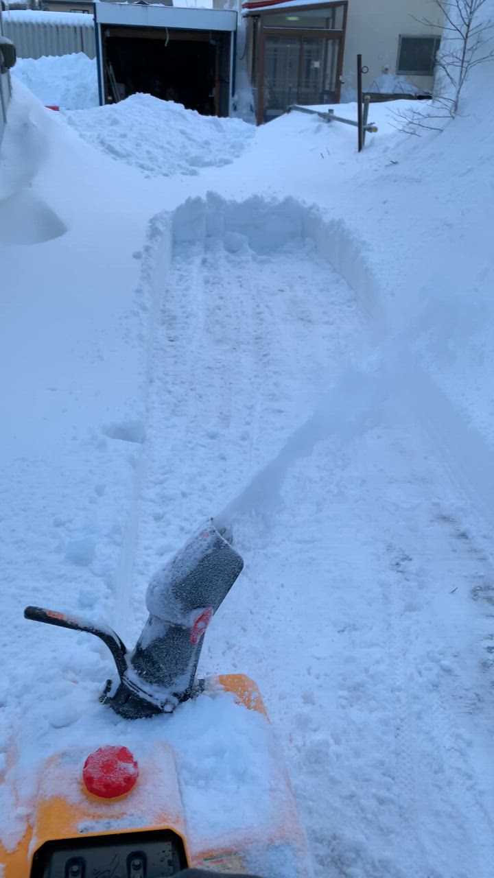 HAIGE ハイガー公式エンジン除雪機 手押し式 小型 家庭用 ゴム製