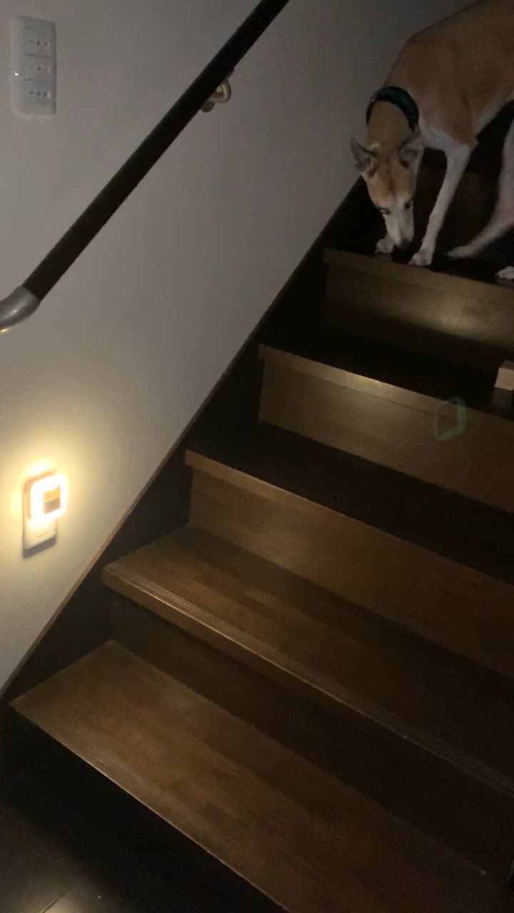 全体のレビュー動画のサムネイル | 2