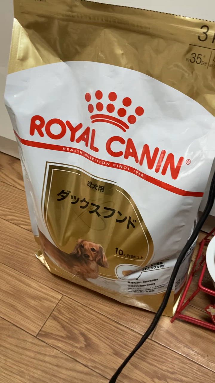3kg×2袋】ロイヤルカナン ダックスフンド 成犬用 (犬・ドッグ) [正規品 