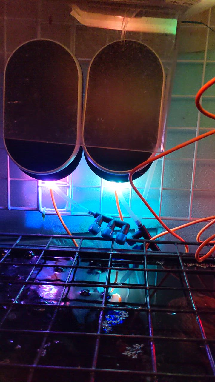 全体のレビュー動画のサムネイル | 1