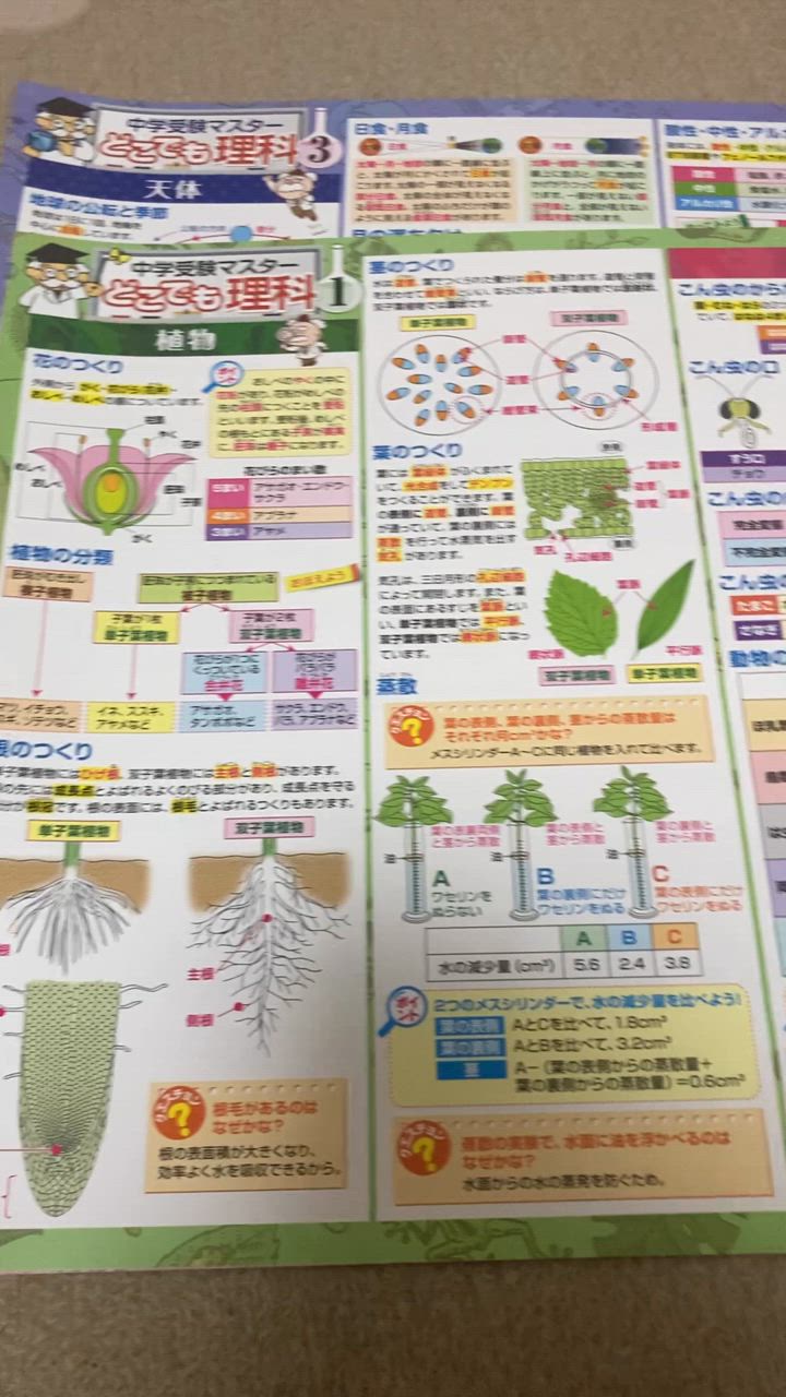 全体のレビュー動画のサムネイル | 4