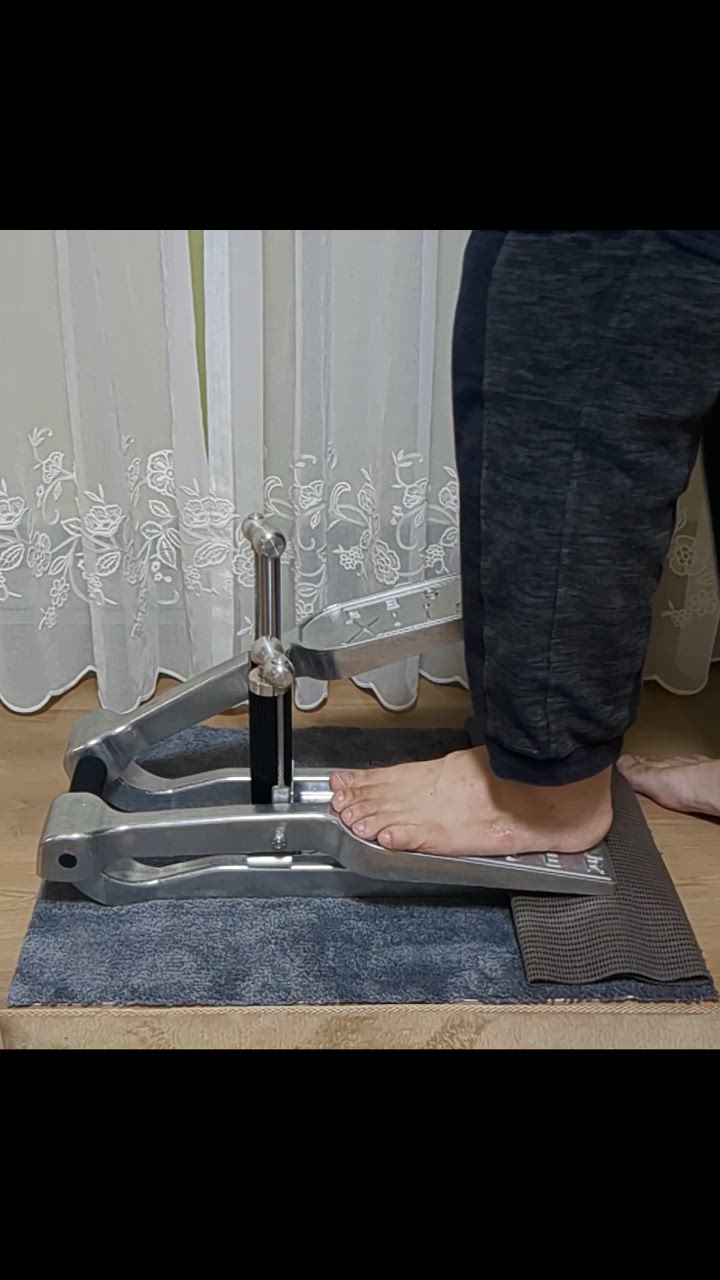 Xiser Pro Trainer エクサー プロ ステッパー【日本語説明書,5年