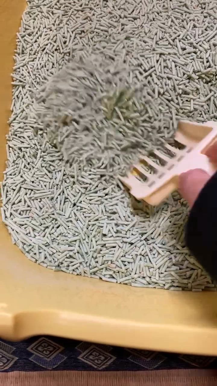 1件目のレビュー動画のサムネイル | 0