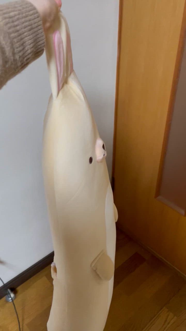 全体のレビュー動画のサムネイル | 0